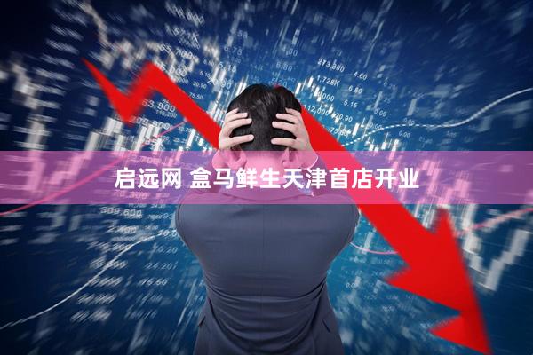 启远网 盒马鲜生天津首店开业