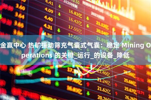 金赢中心 热矿振动筛充气囊式气囊：稳定 Mining Operations 的关键_运行_的设备_降低